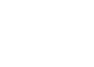 NovoNordisk logo